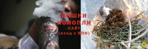 прущие грибы Богородск