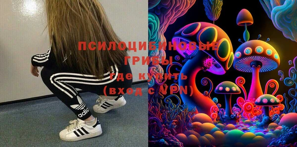 прущие грибы Богородск