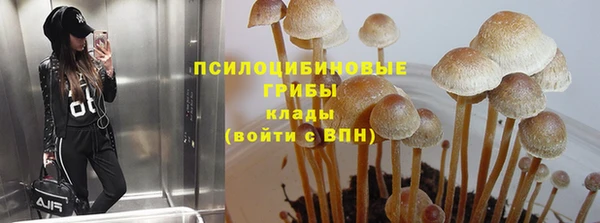 a pvp Богданович