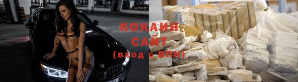 прущие грибы Богородск