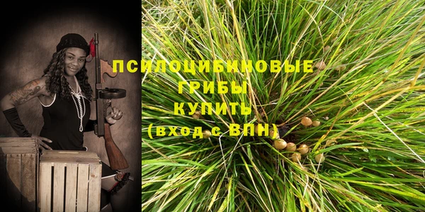 прущие грибы Богородск