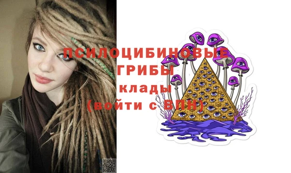 a pvp Богданович