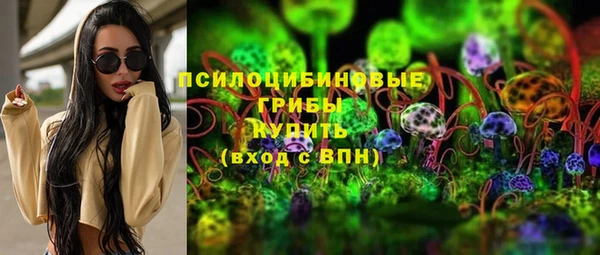 PSILOCYBIN Богородицк
