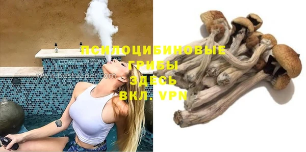 PSILOCYBIN Богородицк