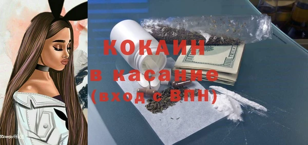 PSILOCYBIN Богородицк
