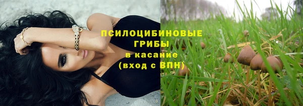 a pvp Богданович