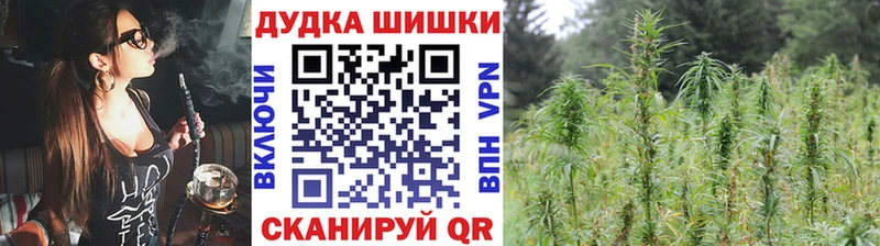omg зеркало  купить  сайты  Раменское  Бошки Шишки семена 